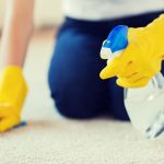 Close up of woman in rubber gloves with cloth and detergent spray cleaning carpet at home to help illustrate Professional Carpet Cleaning vs DIY