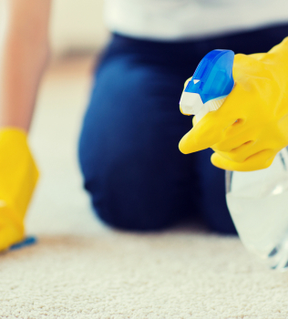Professional Carpet Cleaning vs DIY